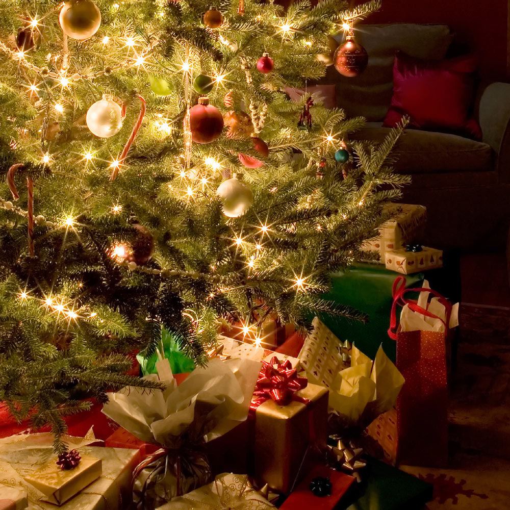 Christmas_Tree_1000px