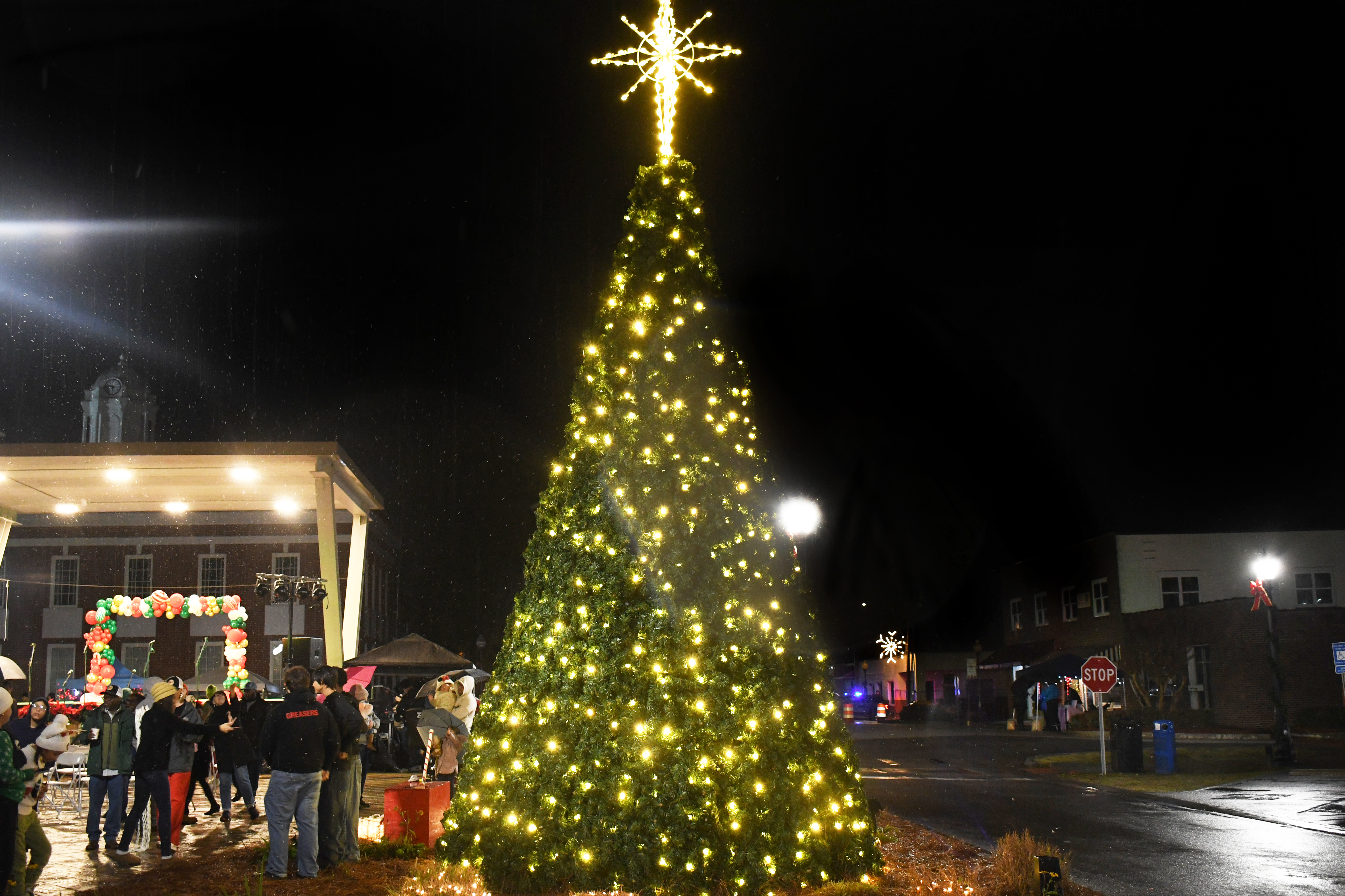 Hinesville for the Holidays. Picture 19