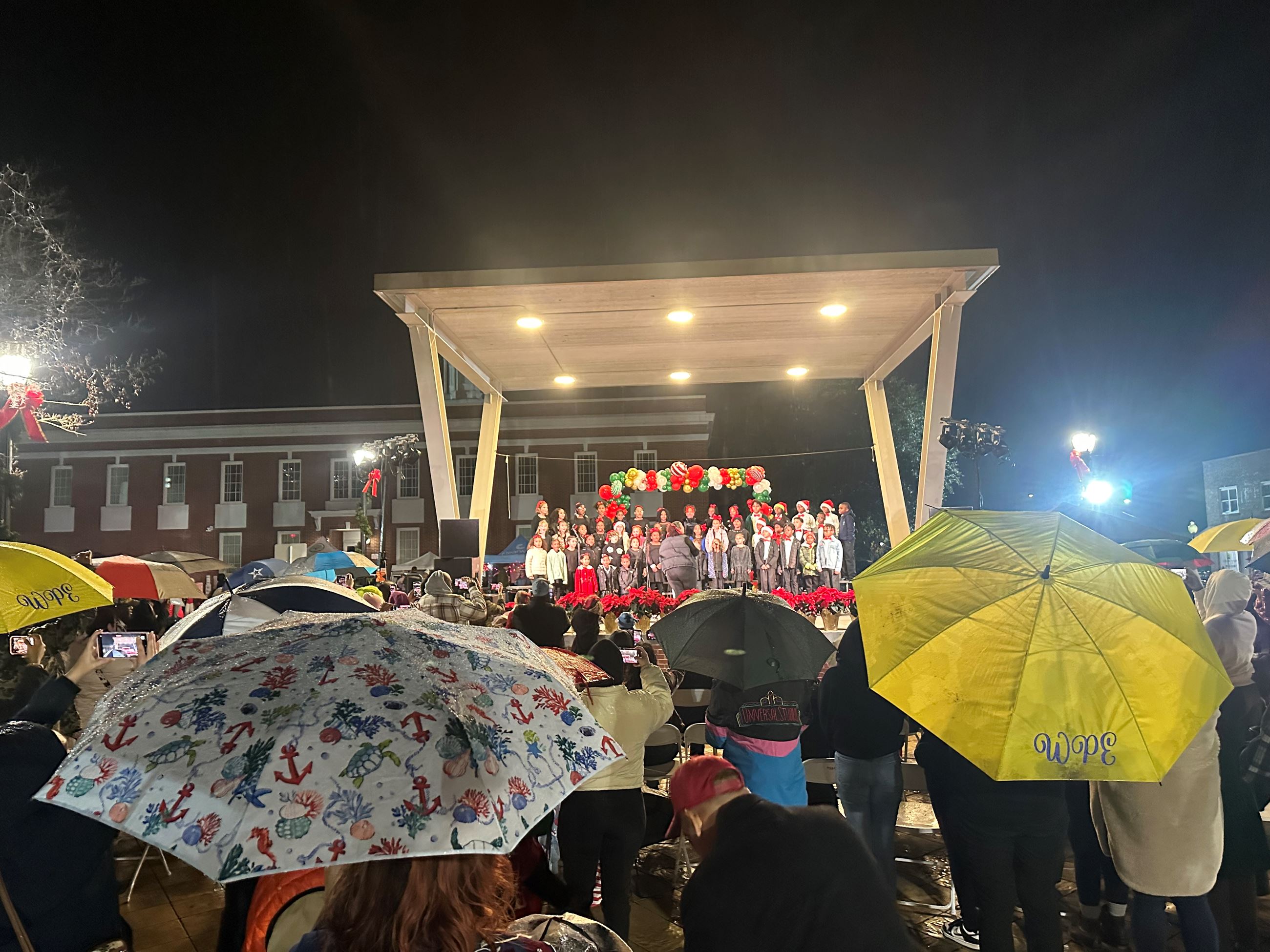 Hinesville for the Holidays. Picture 22